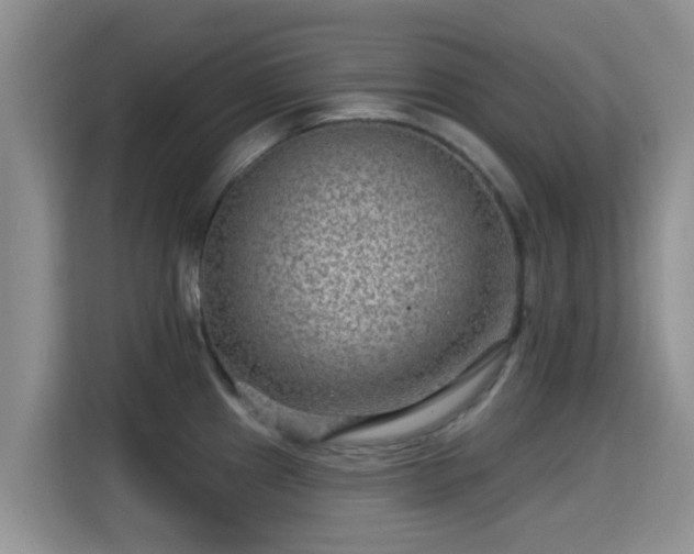 X0000115291241200911090945