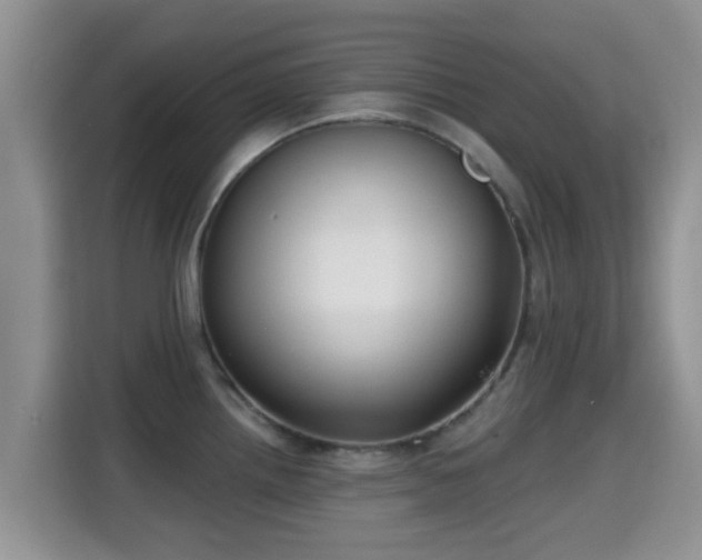 X0000115291242200911090945