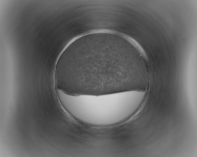 X0000115291244200911090945