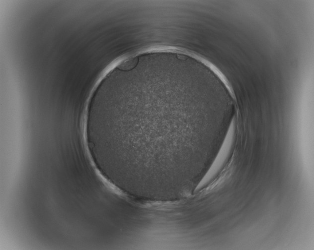 X0000115291245200911090945