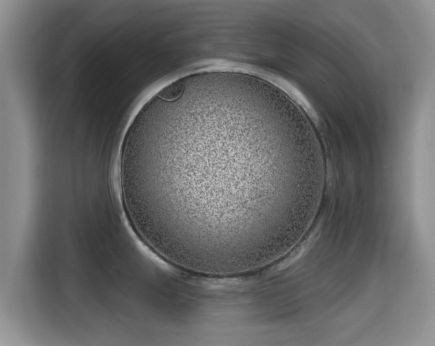 X0000115291247200911090945