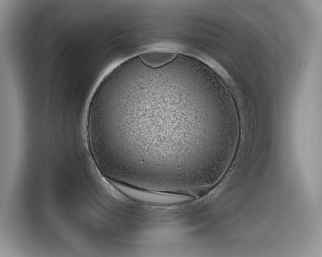 X0000115291248200911090945