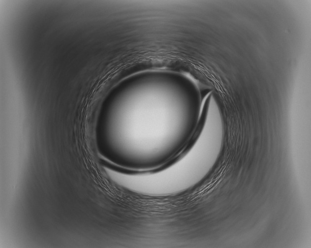 X0000115291249200911090945