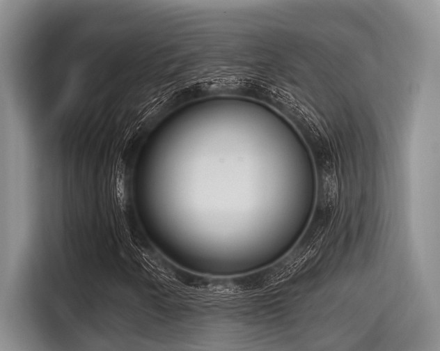X0000115291250200911090945