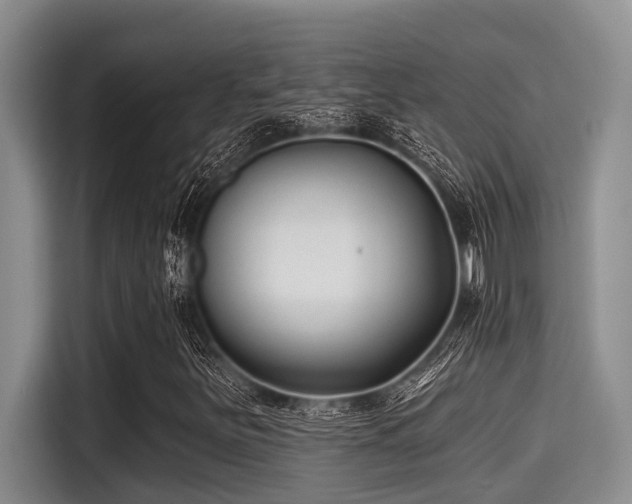 X0000115291251200911090945