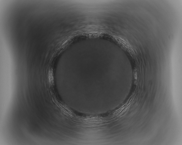 X0000115291252200911090945