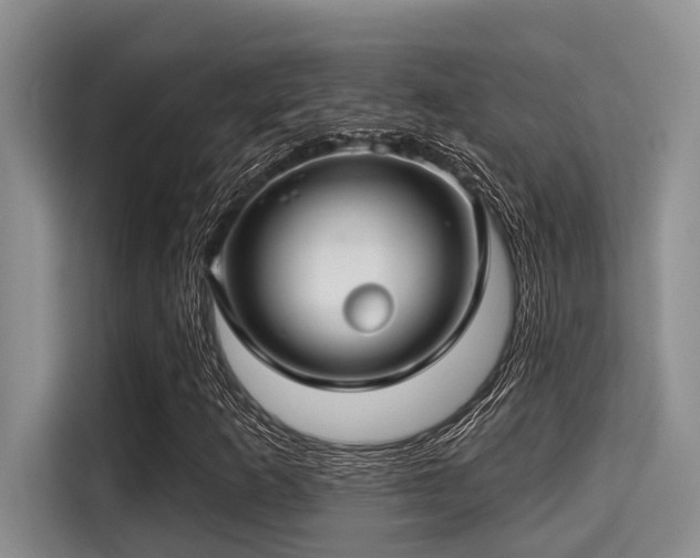 X0000115291253200911090945