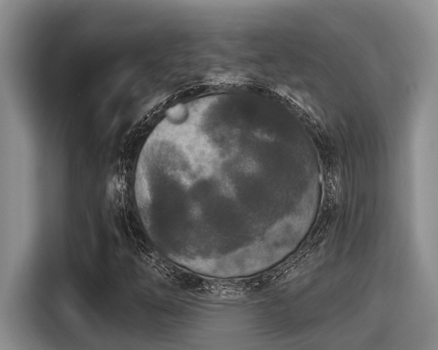 X0000115291254200911090945
