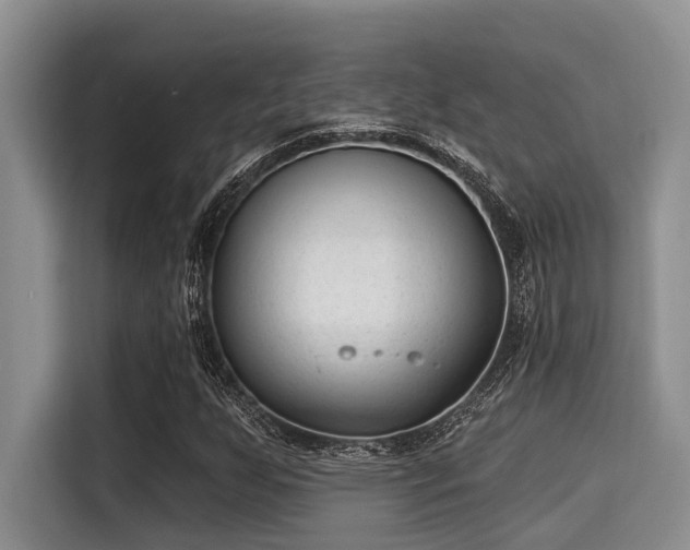 X0000115291255200911090945