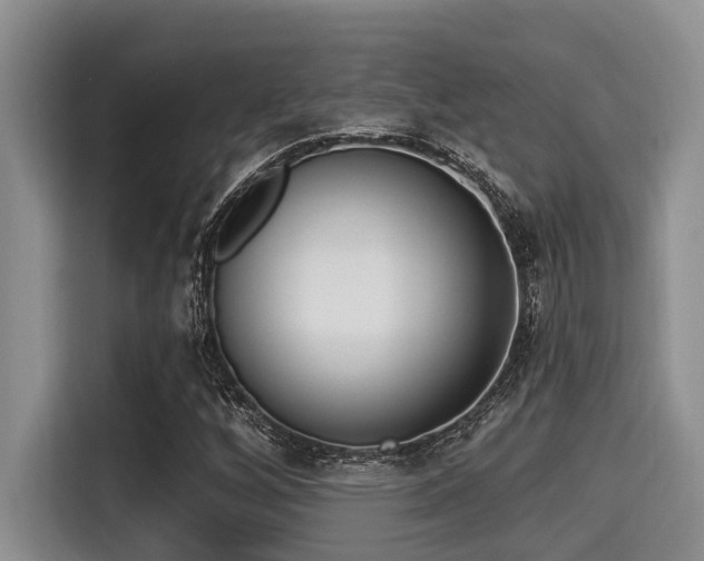 X0000115291256200911090945