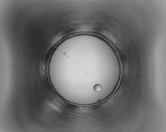 X0000115291258200911090945