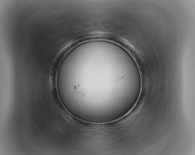 X0000115291259200911090945