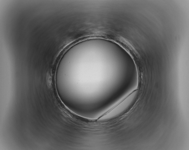 X0000115291260200911090945