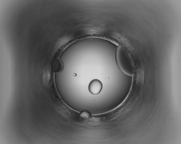 X0000115291261200911090945