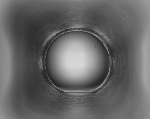 X0000115291262200911090945
