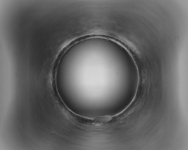 X0000115291264200911090945