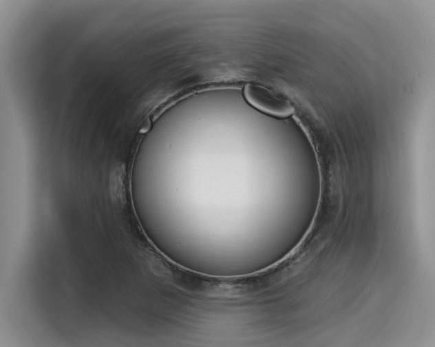 X0000115291265200911090945