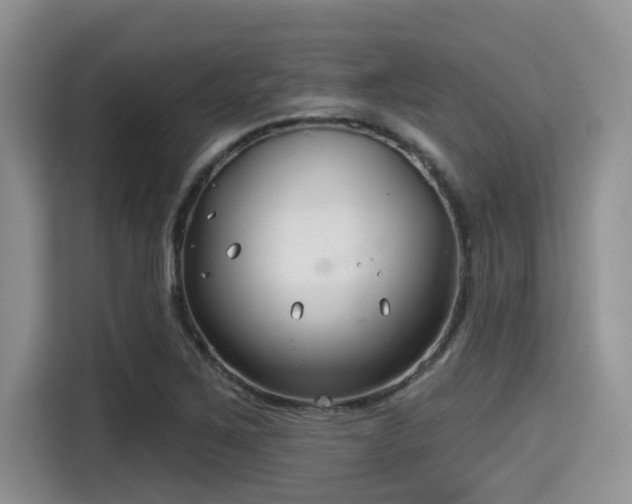X0000115291267200911090945