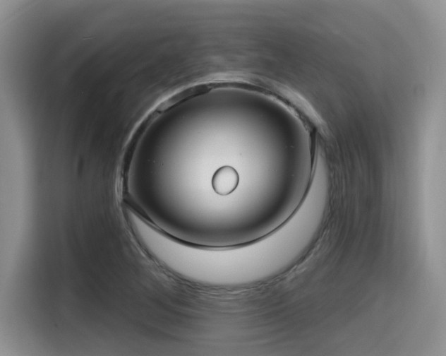 X0000115291268200911090945