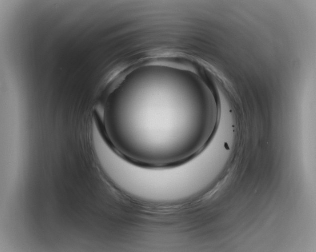 X0000115291273200911090945