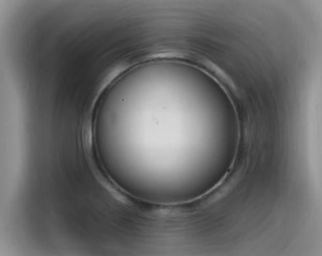 X0000115291274200911090945
