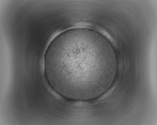 X0000115291275200911090945