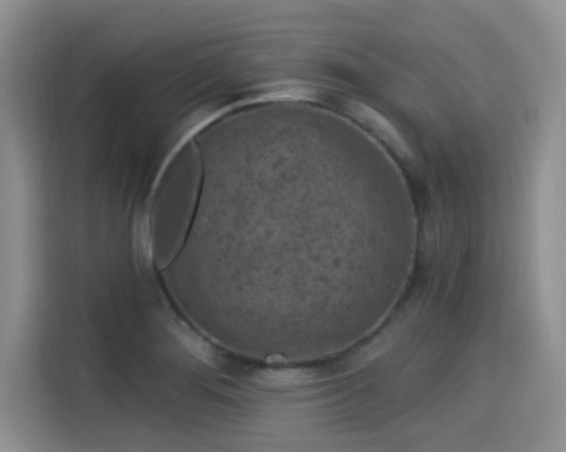 X0000115291276200911090944