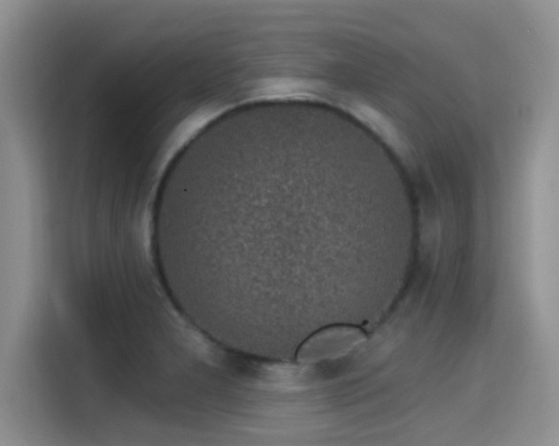 X0000115291277200911090944