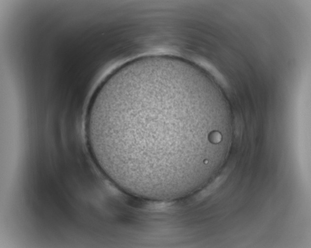 X0000115291278200911090944