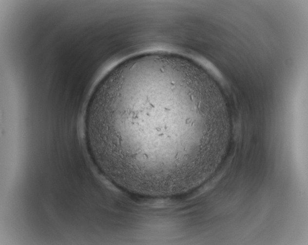 X0000115291279200911090944