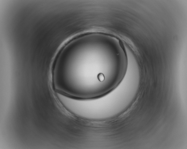 X0000115291280200911090944