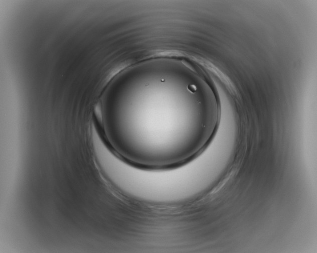 X0000115291281200911090944