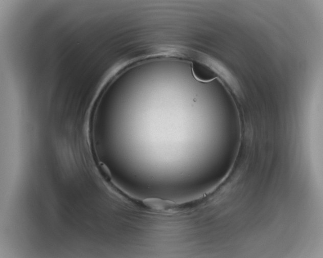 X0000115291283200911090944