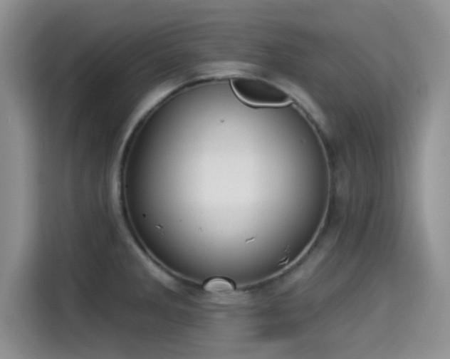 X0000115291285200911090944