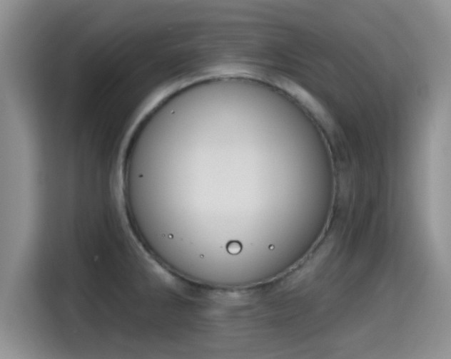 X0000115291286200911090944