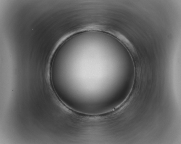 X0000115291288200911090944