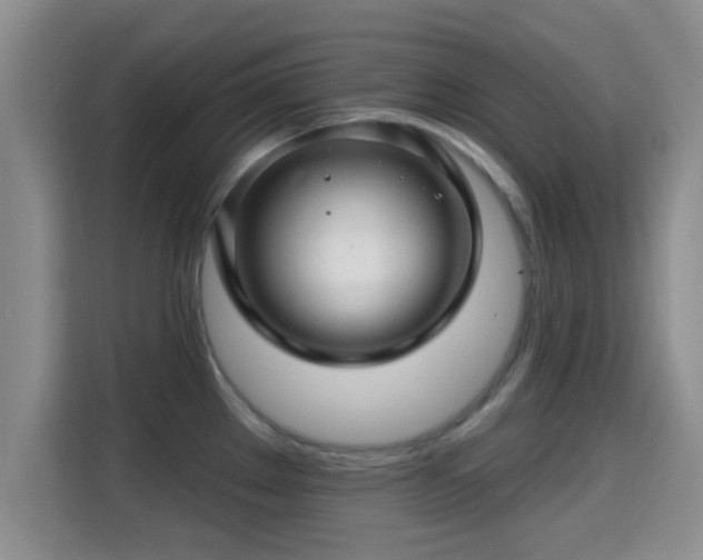 X0000115291289200911090944