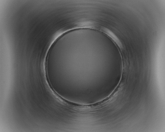 X0000115291291200911090944