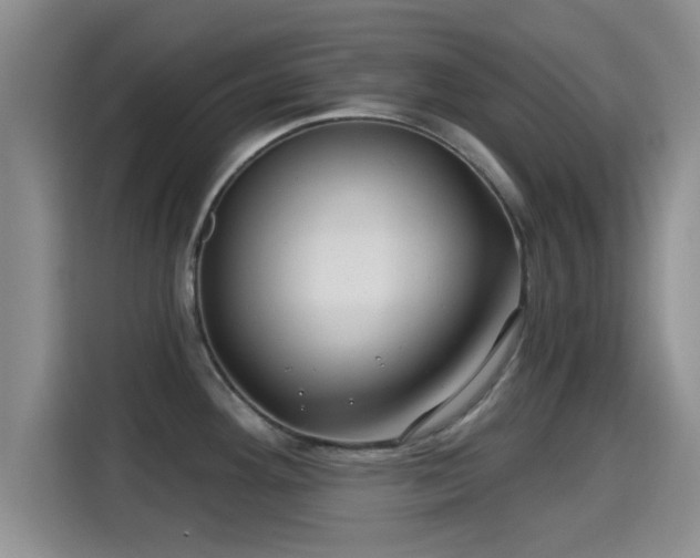 X0000115291292200911090944