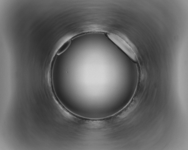 X0000115291293200911090944