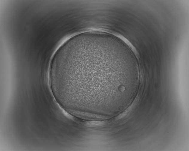 X0000115291294200911090944