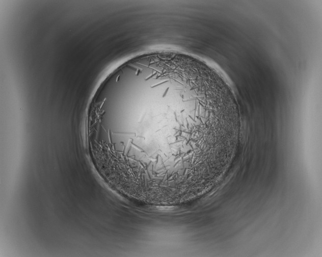 X0000115291295200911090944