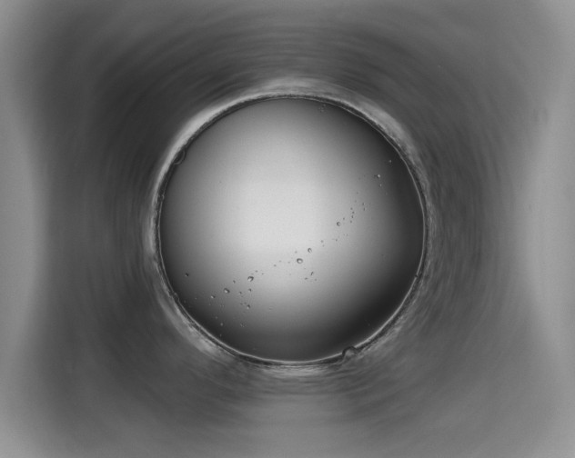 X0000115291296200911090944