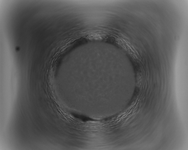 X0000115291297200911090944