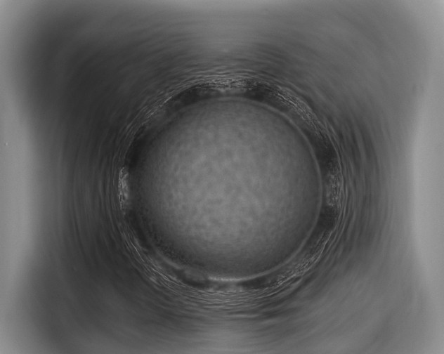 X0000115291298200911090944