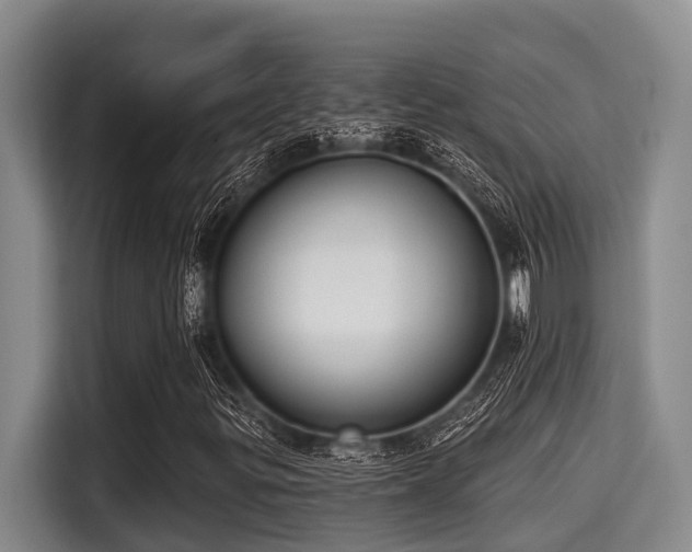 X0000115291299200911090944