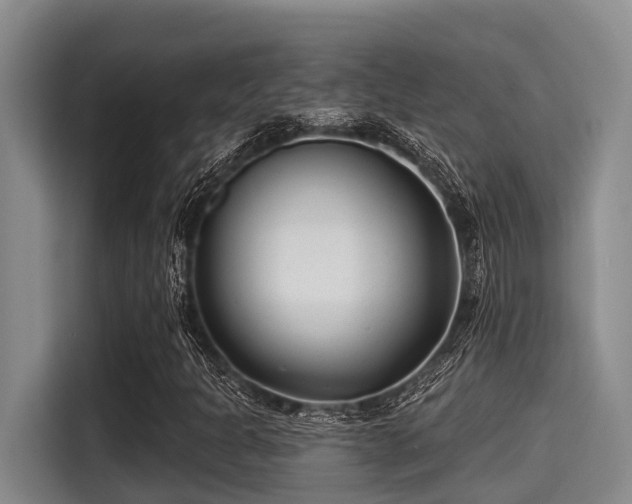 X0000115291301200911090944