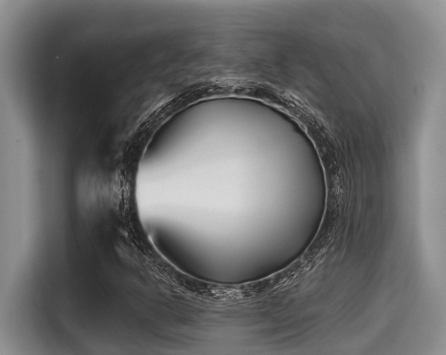 X0000115291302200911090944