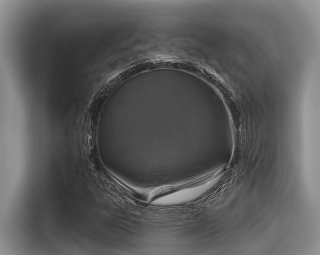 X0000115291303200911090944