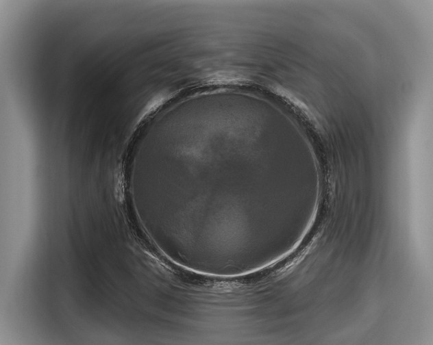 X0000115291306200911090944